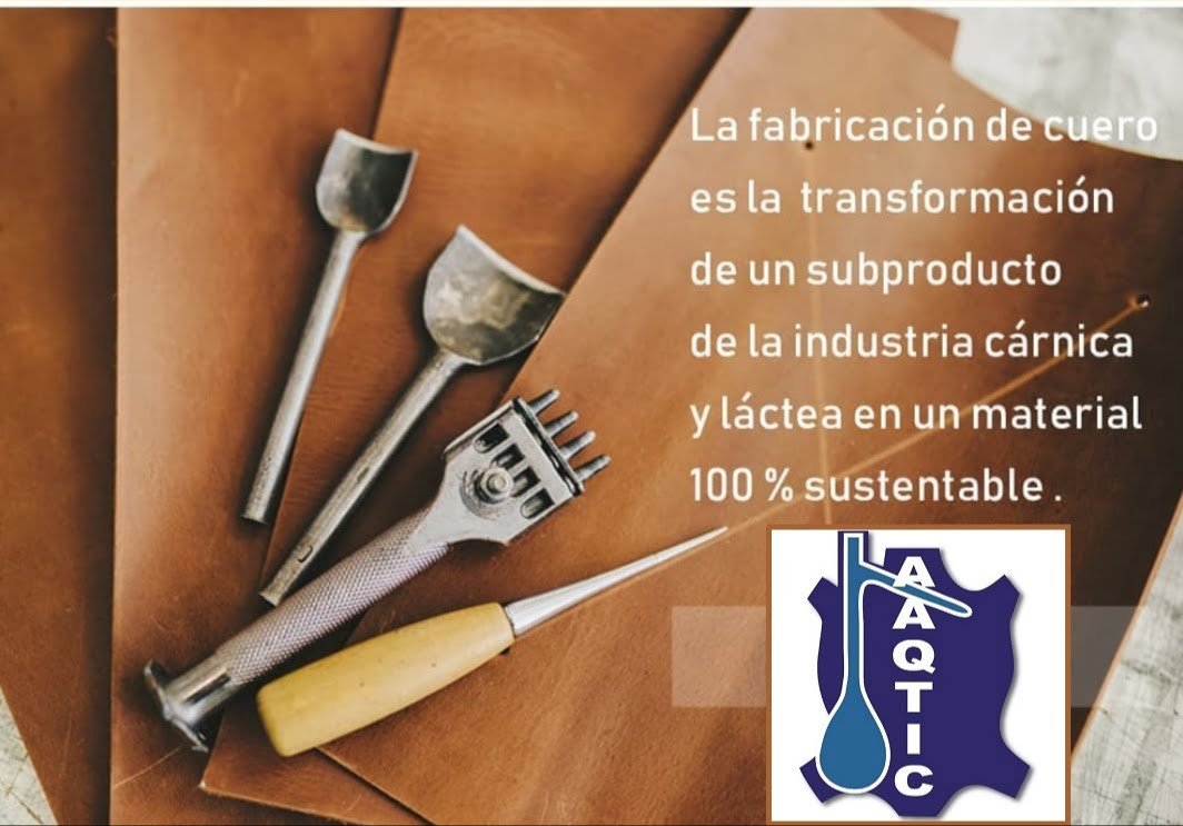 Cuero Aaqtic Fundamentos Básicos De La Transformación De Una Piel Vacuna En Cuero - Calzado, Cuero