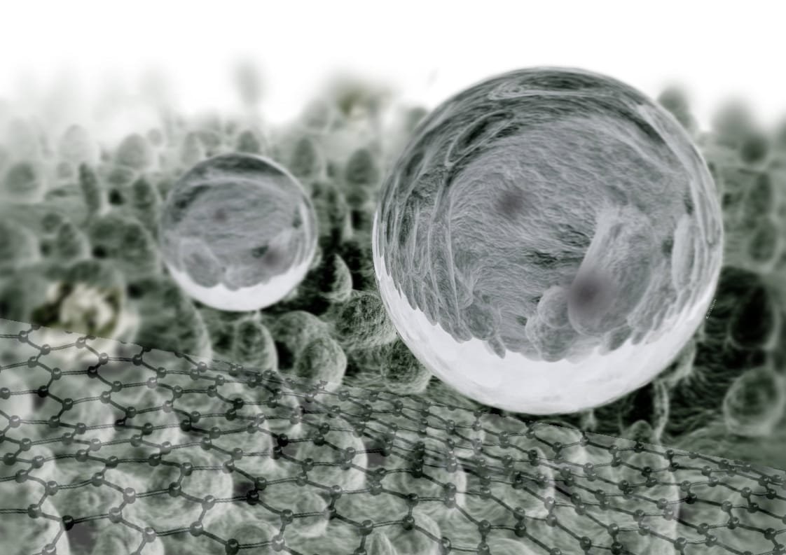 Foto Nota De Nadia Sol Nielsen La Evolución De Los Tejidos En La Industria Textil Llegó En Forma De Nanopartículas - Textil E Indumentaria