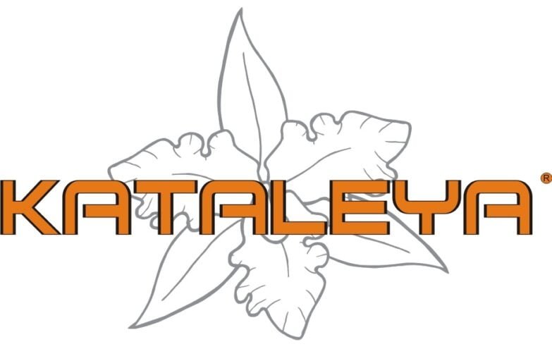 KATALEYA SHOES 1 - c6ef6ae0fa09d5a6413a013f95454a87 KATALEYA SHOES -