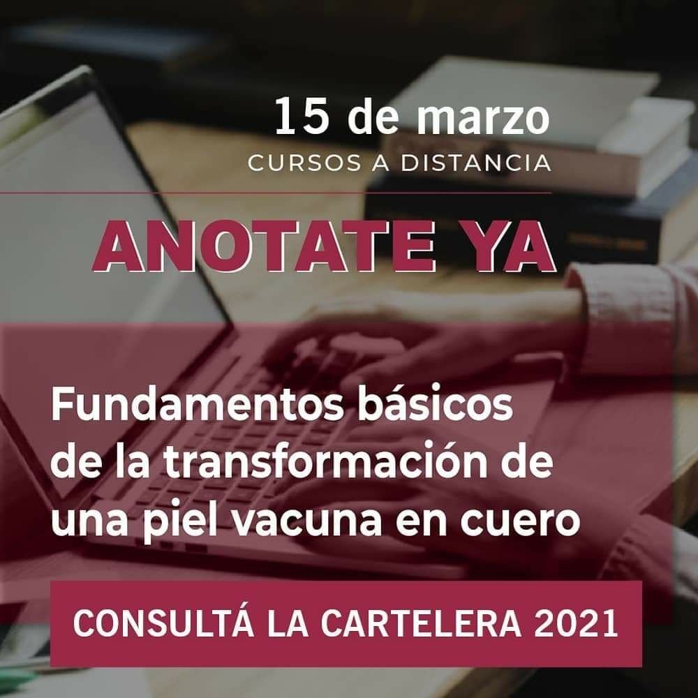 Fundamentos Básicos De La Transformación De Una Piel Vacuna En Cuero