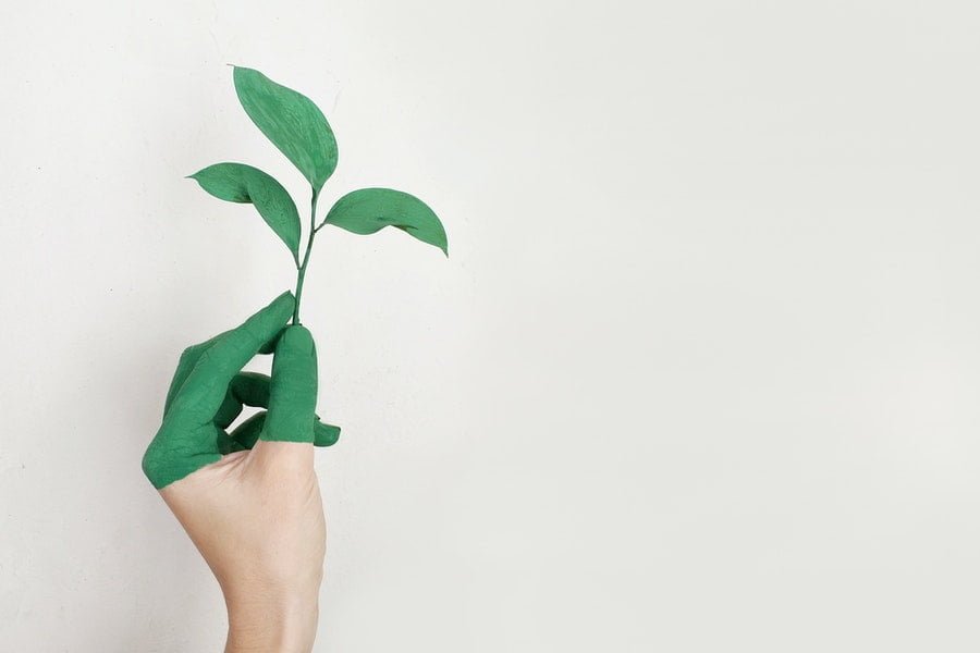 Sostenibilidad: ¿Qué Es El Greenwashing Y Cómo Podemos Evitarlo?