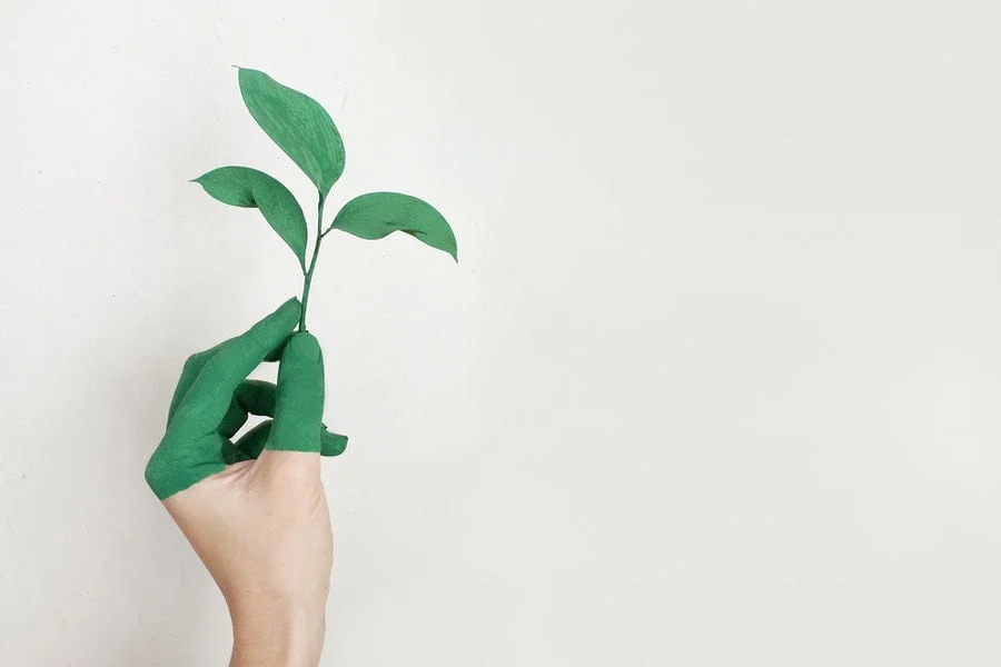 Sostenibilidad: ¿Qué Es El Greenwashing Y Cómo Podemos Evitarlo?