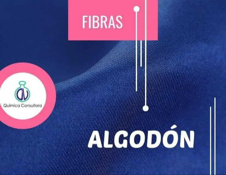 Algodón: Fibra Natural, Celulosa