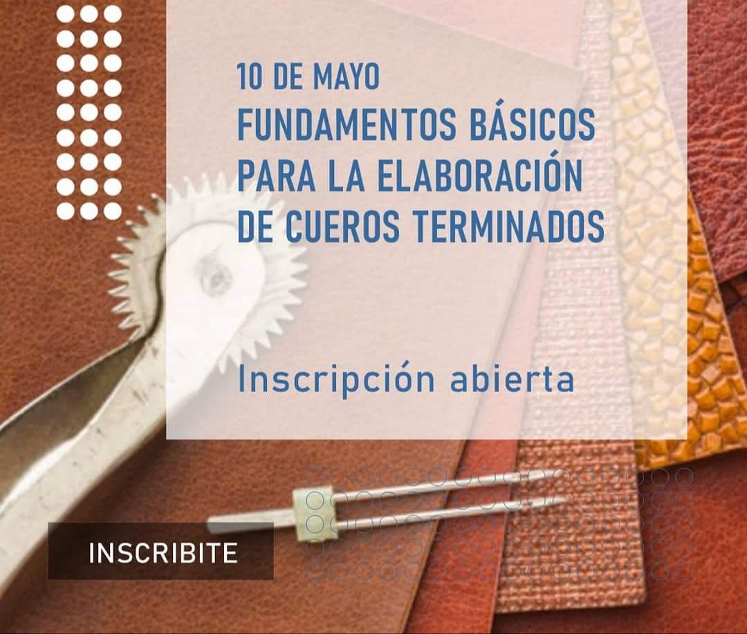 Fundamentos Básicos Para La Elaboración De Cueros Terminados