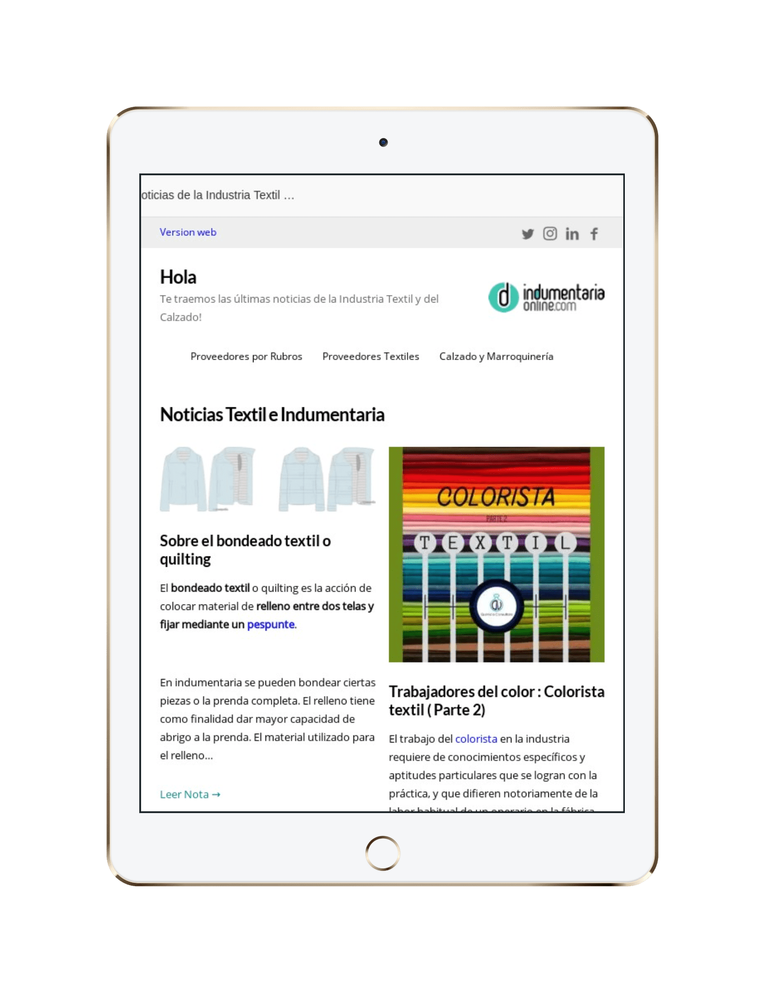 Newsletter Indumentariaonline, Novedades Del Sector Textil Y De Calzado