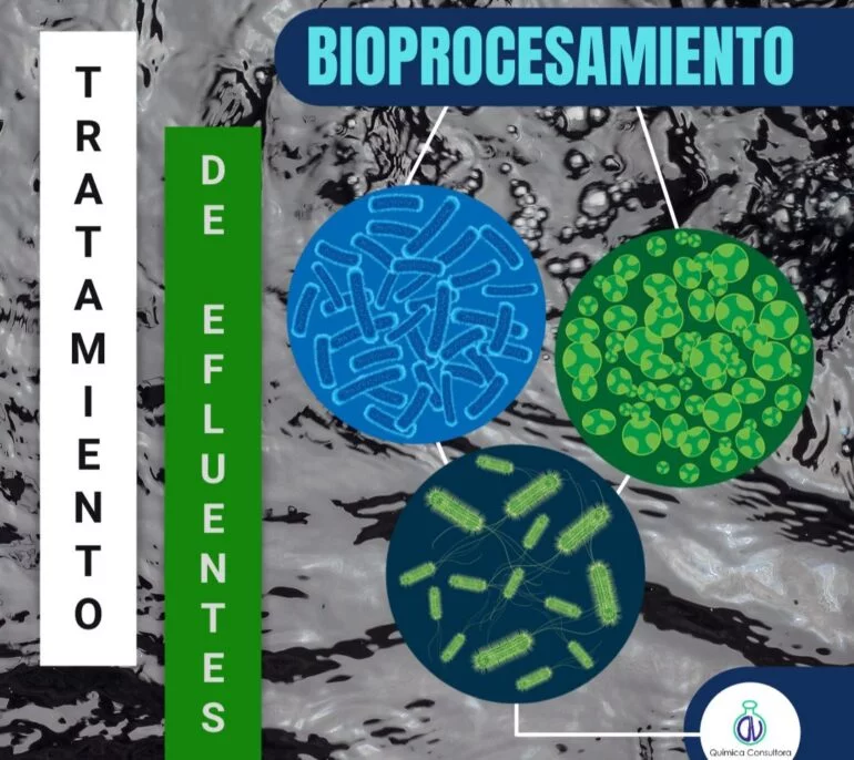 20210801 212846 Tratamiento De Efluentes En La Industria Textil: Bioprocesamiento - Productos Químicos Textiles