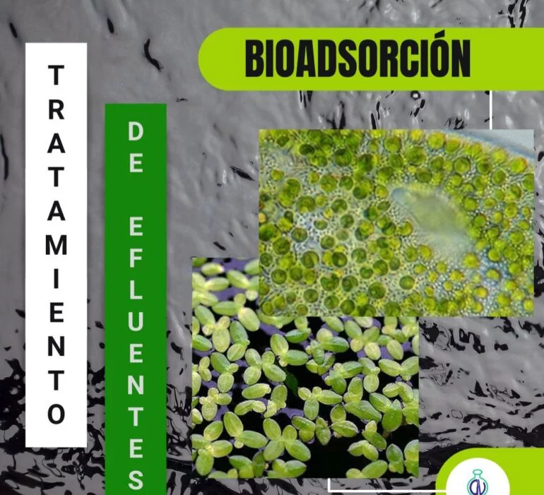 20210812 085145 Tratamiento De Efluentes En La Industria Textil: Bioadsorción - Productos Químicos Textiles