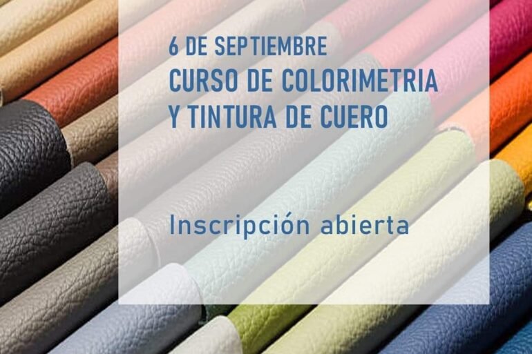 Whatsapp Image 2021 08 19 At 19.36.26 Colorimetría Y Tintura Del Cuero - Calzado, Cuero