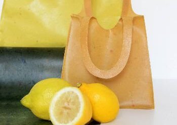 Unnamed Cartera Hecha Con Cáscaras De Frutas - Sustentable