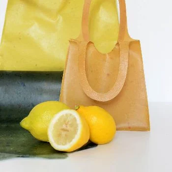 Unnamed Cartera Hecha Con Cáscaras De Frutas - Moda Sostenible
