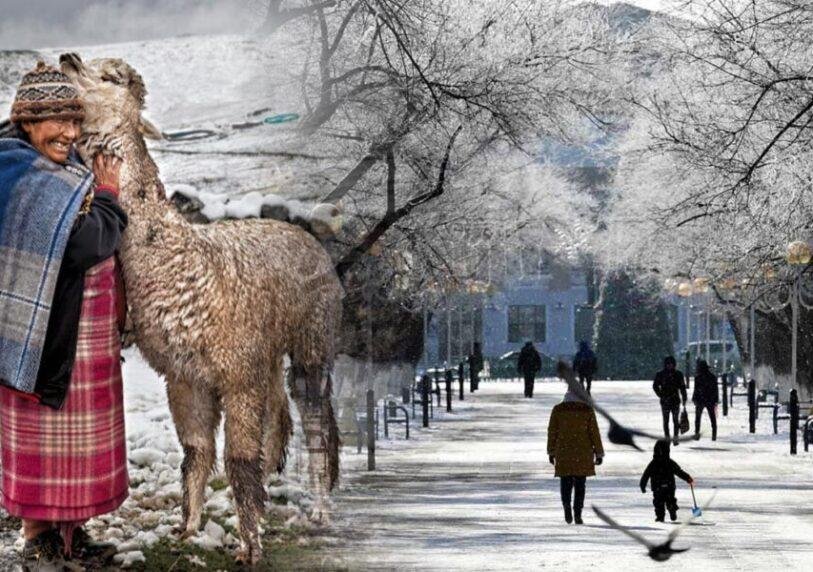 GJEJ36MI4JDPDI6GDS3PMCEXQY La fibra de alpaca peruana llega a Dinamarca - Empresas Calzado, Cuero