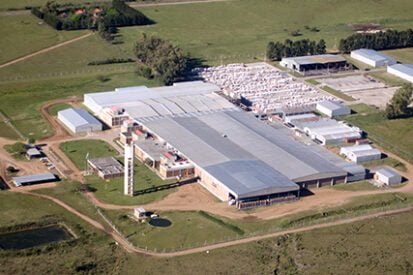 Monte Caseros Fabricación De Eco Hilados A Partir De Desechos Textiles - Noticias Breves