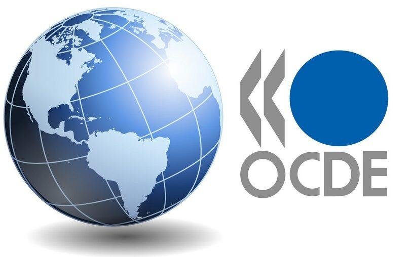 Ocde Cadenas De Suministro Responsable En El Sector Textil Y Del Calzado En La Región De Alc - Calzado, Cuero