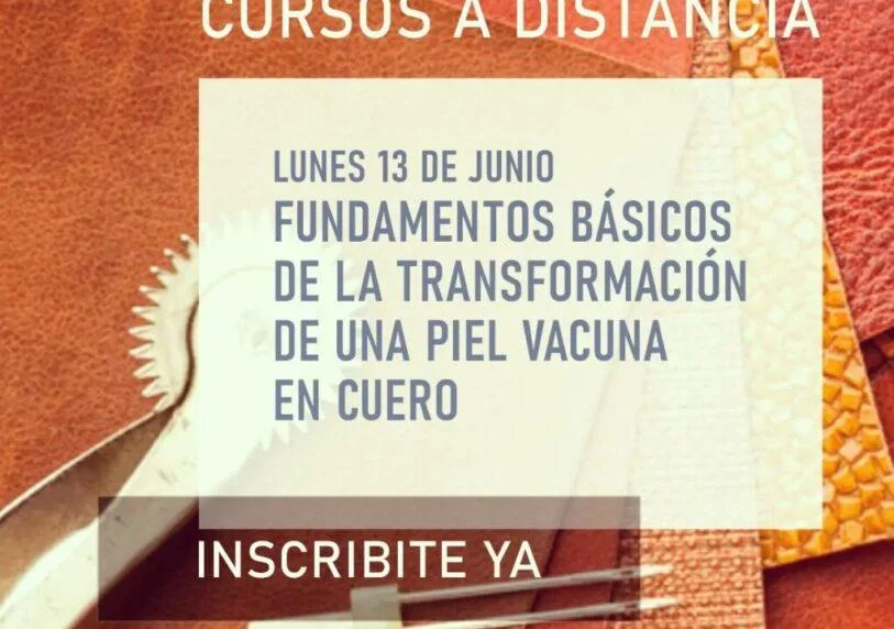 Fundamentos básicos de la transformación de una piel vacuna en cuero 11 - noticias breves Aaqtic Fundamentos Básicos De La Transformación De Una Piel Vacuna En Cuero - Noticias Breves