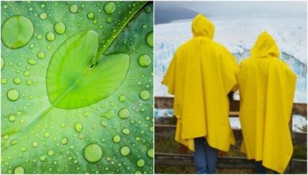 Creando Ropa Con Forma De Arbol Creando Ropa Con Forma De Árbol - Productos Químicos Textiles