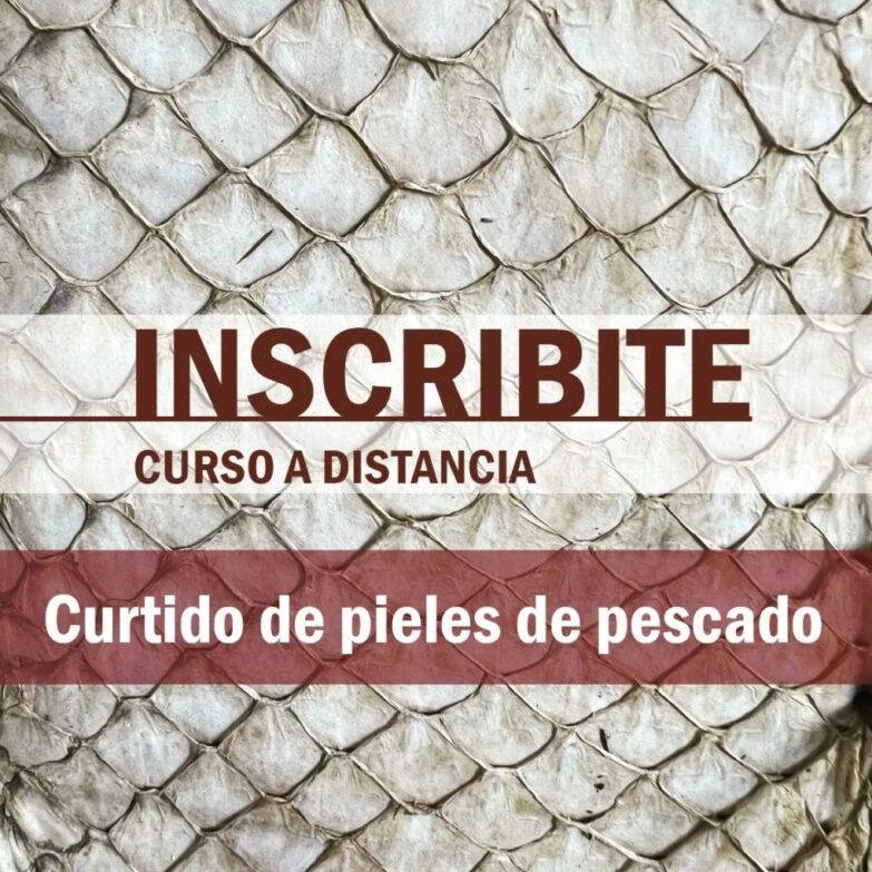 Curtido De Pieles De Pescado Curtido De Pieles De Pescado - Noticias Breves