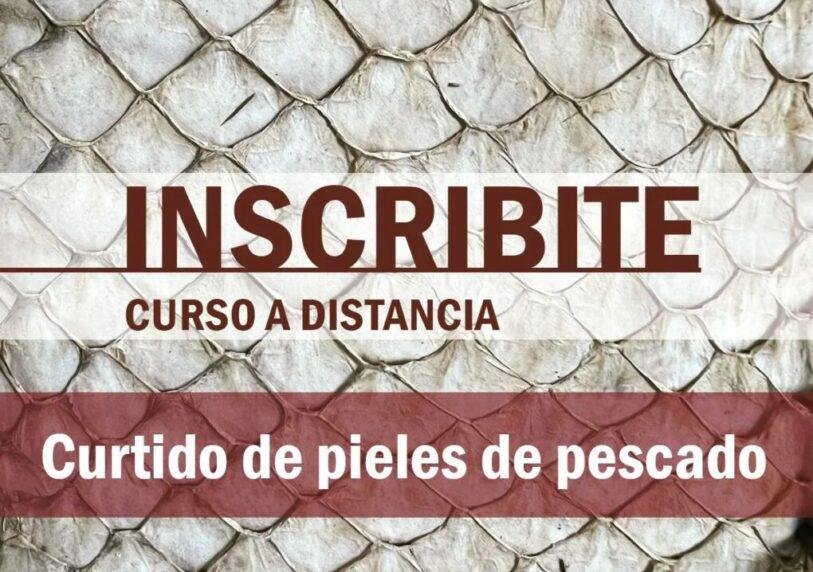 Curtido De Pieles De Pescado Curtido De Pieles De Pescado - Noticias Breves