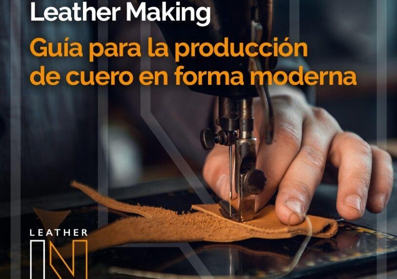 Guia Para La Produccion De Cuero Guía Para La Producción De Cuero - Calzado, Cuero