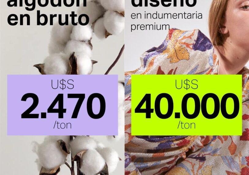 Ciai Nota Exportación De Producto Y Diseño De Indumentaria Premium - Noticias Breves