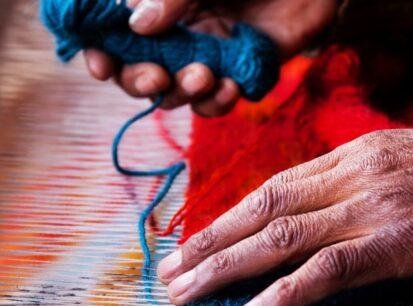 Alpaca Alpaca, Joya De Los Andes Peruanos - Noticias Breves
