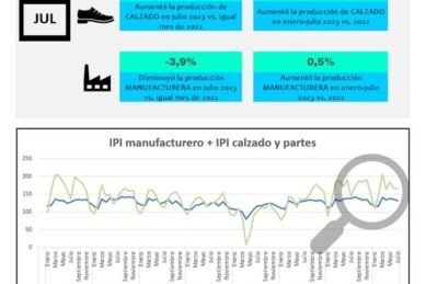 Produccion Calzado Julio 2023 02 983686 La Producción De Calzado En Julio 2023 - Calzadoargentino