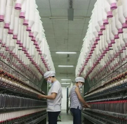 59 593946 El Sector Textil, En La Cuerda Floja Por La Inflación Y La Caída Del Consumo - Productos Químicos Textiles