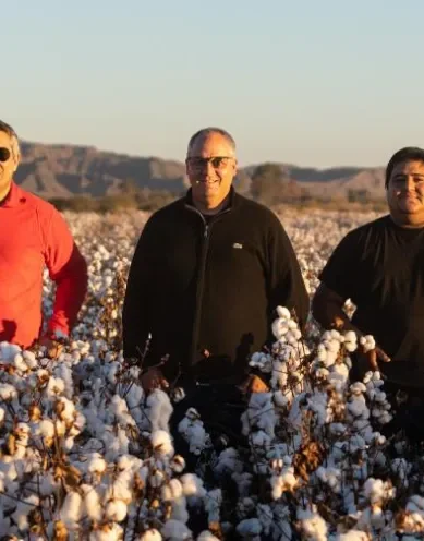 Fibra Extralarga Algodon Avanza Con Fuerza Industria Textil Argentina 32 423083 La Fibra Extralarga De Algodón Avanza Con Fuerza En La Industria Textil Argentina - Destacadas