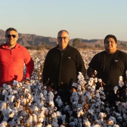 Fibra Extralarga Algodon Avanza Con Fuerza Industria Textil Argentina 32 423083 La Fibra Extralarga De Algodón Avanza Con Fuerza En La Industria Textil Argentina - Empresas Textiles