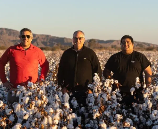 Fibra Extralarga Algodon Avanza Con Fuerza Industria Textil Argentina 32 423083 La Fibra Extralarga De Algodón Avanza Con Fuerza En La Industria Textil Argentina - Destacadas