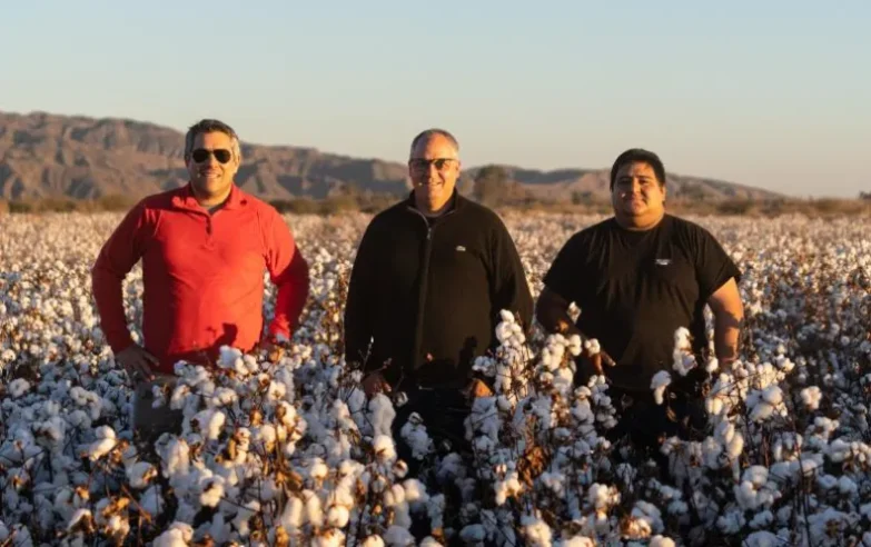 Fibra Extralarga Algodon Avanza Con Fuerza Industria Textil Argentina 32 423083 La Fibra Extralarga De Algodón Avanza Con Fuerza En La Industria Textil Argentina - Empresas Textiles