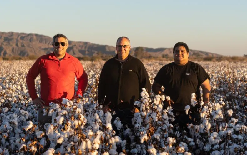 Fibra Extralarga Algodon Avanza Con Fuerza Industria Textil Argentina 32 423083 La Fibra Extralarga De Algodón Avanza Con Fuerza En La Industria Textil Argentina - Empresas Textiles