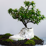 Ecodiseno Calzado Calidad Diseno Gestion 02 133901 Ecodiseño En Calzado: Calidad, Diseño, Gestión - Moda Sostenible