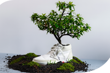 Ecodiseno Calzado Calidad Diseno Gestion 02 133901 Ecodiseño En Calzado: Calidad, Diseño, Gestión - Empresas Textiles