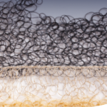 capacitacion virtual inti materiales biobasados industria textil 54 752979 INTI impulsa la capacitación en biomateriales para una industria textil más sustentable - sostenibilidad