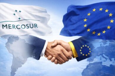 Vamos A Competir Contra Asia Con Pasaporte Europeo 47 623594 ¿Vamos A Competir Contra Asia Con Pasaporte Europeo? - Economiareal