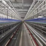 02eb11d150194245a4cc07293cf3095b.thumbnail.0000000000 800x Sustentabilidad textil: Grupo Ritex se convierte en referente del Mercosur - Empresas Calzado, Cuero