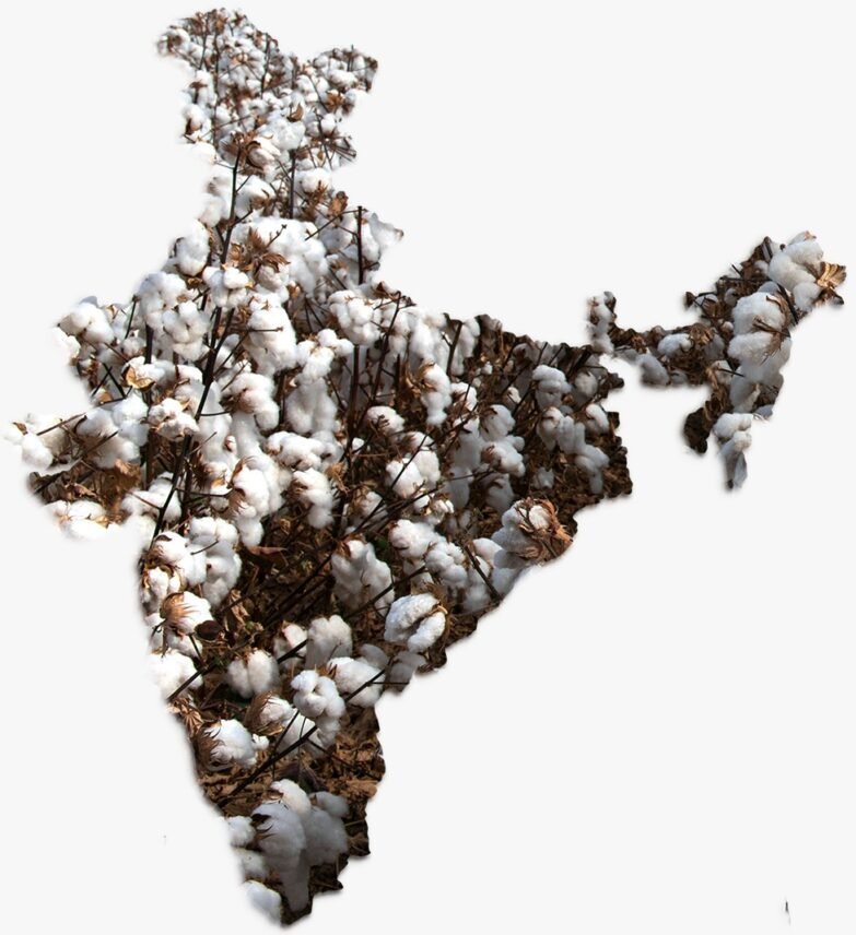 Hilo de Algodón: La ventaja India 1 - Empresas Textiles IMG 20260716 WA0007 Hilo de Algodón: La ventaja India - Empresas Textiles